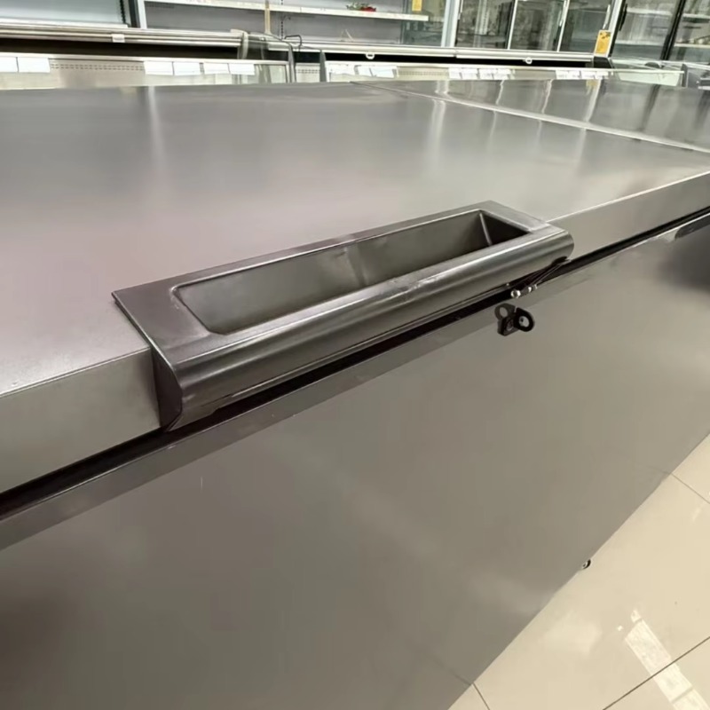 Congelador Horizontal de Porta - Commercial Chest Freezer avaliação e preço